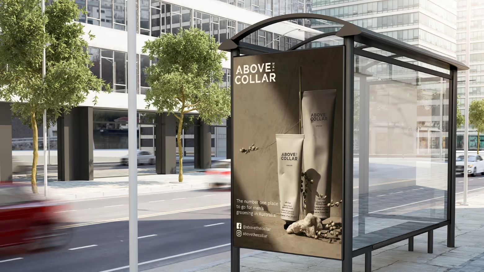 Above the Collar Slide 4