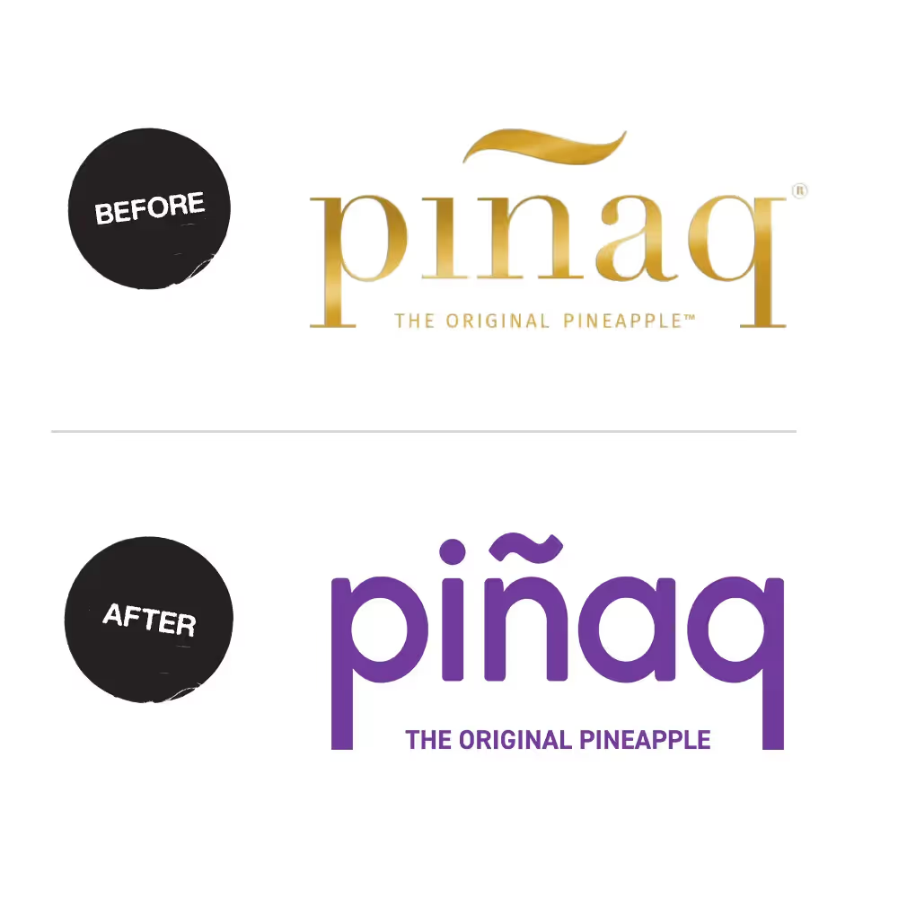 Pinaq Slide 4